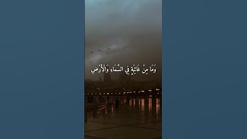 ﴿وَإِنَّ رَبَّكَ لَيَعْلَمُ مَا تُكِنُّ صُدُورُهُمْ وَمَا يُعْلِنُونَ (٧٤)﴾🤍القارئ سعد الغامدي🥺🤍
