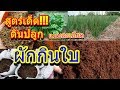 สูตรดินปลูกผักกินใบ🍀สูตรครอบจักรวาล สอนปรุงดินแบบละเอียด ปรุงดินให้ผักอร่อยได้ไม่ยาก
