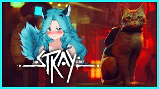 STRAY | A lost Giraffe-Cat