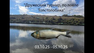 видео: Дружеский турнир по ловле толстолоба 2025. картинка: Дружеский турнир по ловле толстолоба 2025.