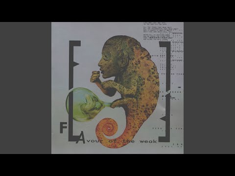 Front Line Assembly — Comatose