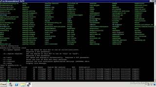 0108 ESXi Shell Commands screenshot 4