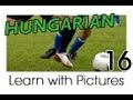 Learn Hungarian Vocabulary with Pictures - Play Ball! Sports Names in Hungarian