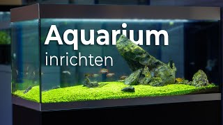 Show Aquarium inrichten! | Oase HighLine 300 - Room Divider | AquastoreXL