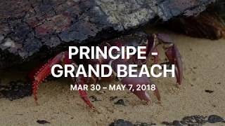 Principe - Praia Grande