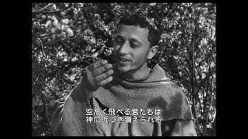 『神の道化師、フランチェスコ』【第一弾】予告編