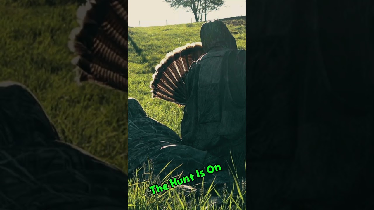 Longbeards Beware…… the Stateline boys are back in town #birds #hunting #huntinseason #turkey