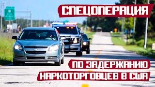 СПЕЦОПЕРАЦИЯ по задержанию наркоторговцев в США [К9 Выпуск 4а]