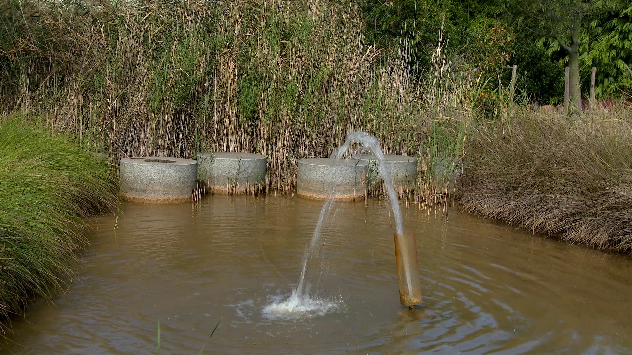 Dubbo Shoyoen Japanese garden nsw