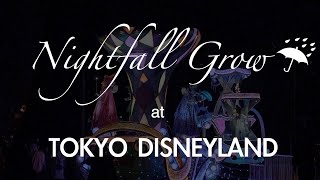 ナイトフォール・グロウ   Nightfall Grow（2022年4月17日 TDL）