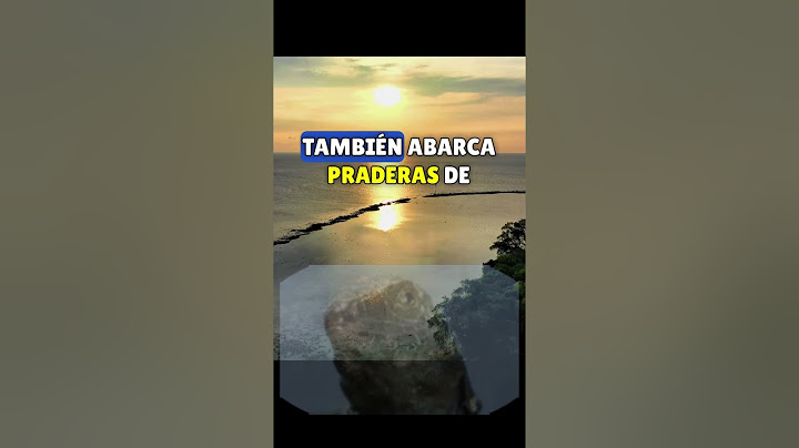 Esta ISLA cambió por COMPLETO
