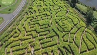 A Fall favorite returns to the corn fields of Middlefield