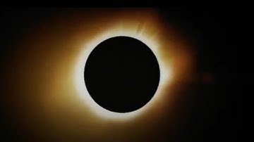 Opshop - No Ordinary Thing (Music Video)