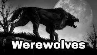 MF #54: Werewolves, the bloodthirsty shapeshifters