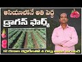 అతి పెద్ద డ్రాగన్ ఫార్మ్ | Biggest Dragon Farm in Asia | Rao Agro Farm | AgriTech Telugu