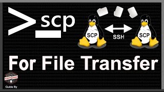 Transferring Files Securely with SCP Command - Linux