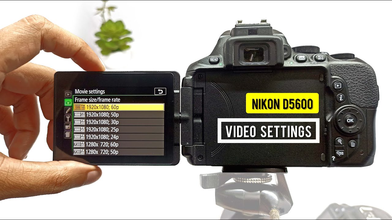 Nikon D5600 Best Video Settings - YouTube