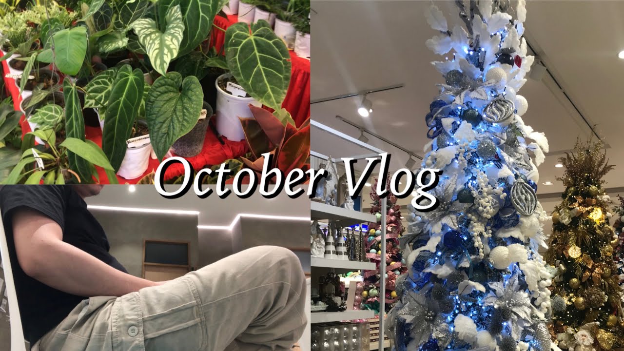 Living in the philippines: October vlog• back to plantito 🪴 • strolling around SM 🎄#shopeetagtowin