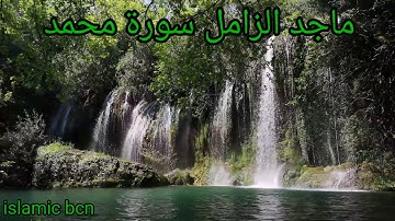 ماجد الزامل سورة محمد /  Majed Al-Zamil sourat Muhammad