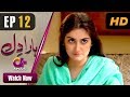 Watch Haara Dil - Episode 12 | Aplus Dramas | Danish Taimoor, Hiba Bukhari | Pakistani Drama Online In HD