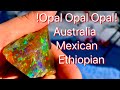 OPALS Australian Lightning Ridge, Mexican Fire & Ethiopian Welo Opals @ the Quartzite Gem Show 2022