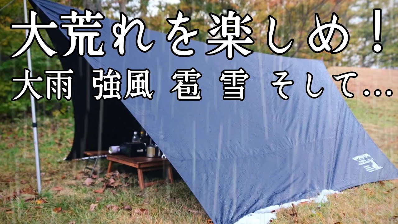 【ソロキャンプ】こんな大荒れの天気でも楽しむのが真のキャンパーだ！そしてとうとう主様が現れる！