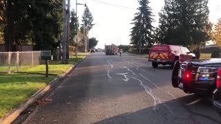 RAW VIDEO: Scene after 11-year-old killed by brother in stabbing