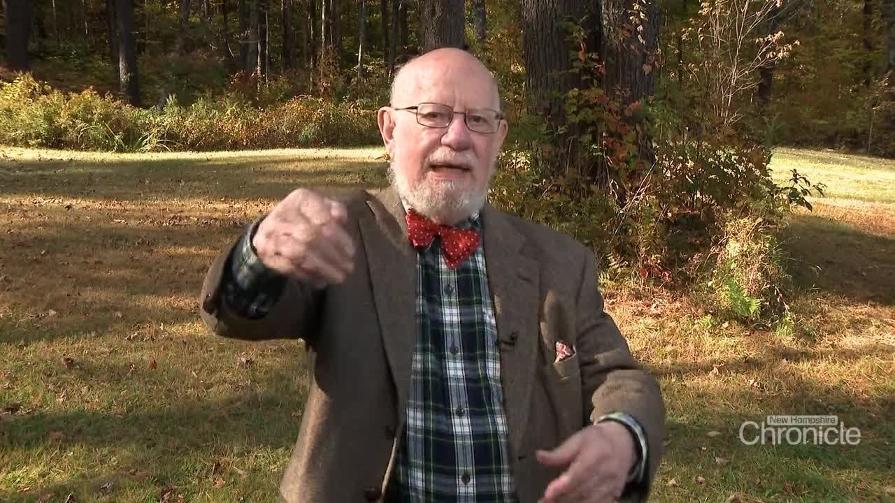 Fritz Wetherbee: Jungle Hammocks in Milford