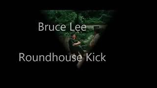 Roundhouse kicks Bruce lee