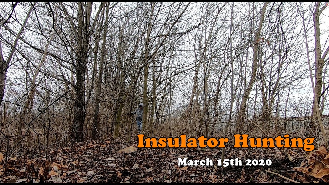 Insulator Hunting – March 15th 2020