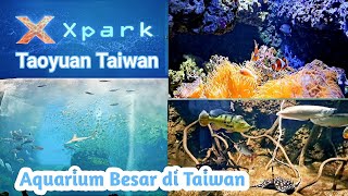 X PARK AQUARIUM TAOYUAN TAIWAN | MELIHAT BERBAGAI MACAM BINATANG LAUT #wisatataiwan #travelling