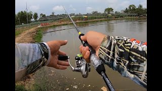 1.600.000đ Bộ combo lure máy đứng cần Daiwa Crossfire X + máy Daiwa Crossfire và phụ kiện