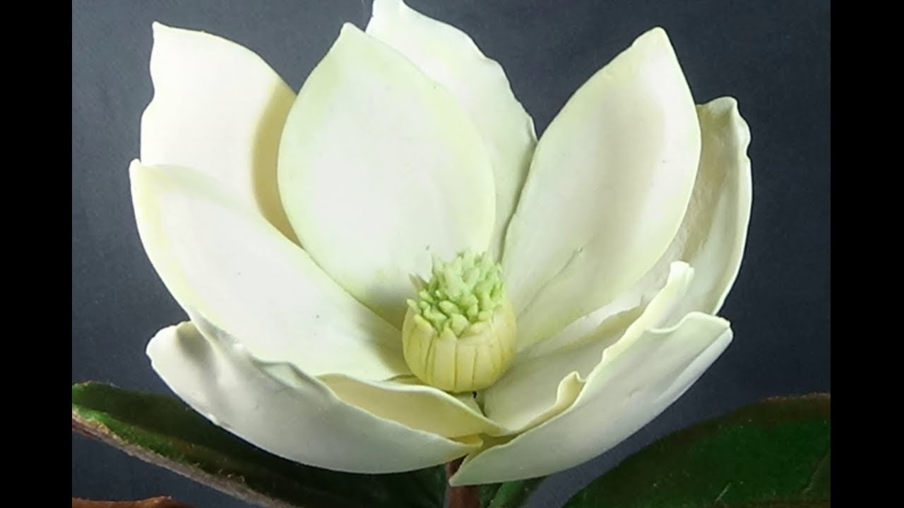 МАГНОЛИЯ ИЗ ПОЛИМЕРНОЙ ГЛИНЫ   (часть 1)  MAGNOLIA