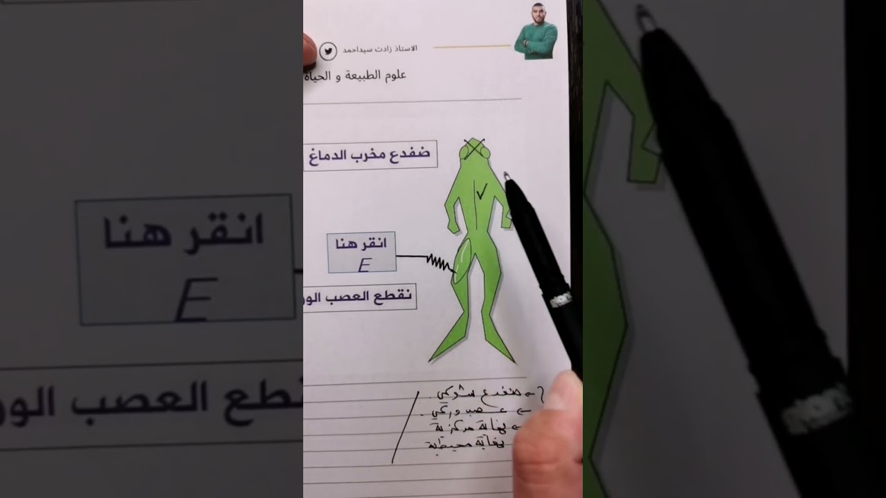 حقيقة في دقيقة متراطيش 👇