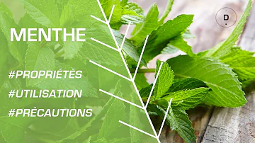 Est-ce que la réglisse est laxative ? Est-ce que la réglisse est laxative ?