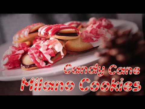 How to Make Candy Cane Milano Cookies For Santa! | POPSUGAR Food