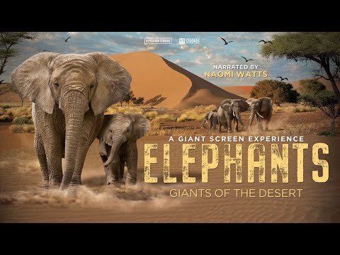 Elephants Narrated by Naomi Watts Trailer