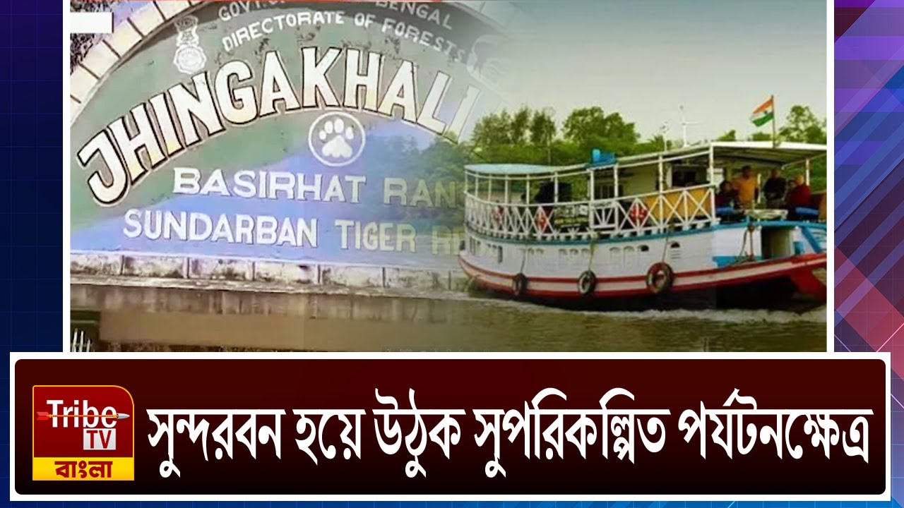 Basirhat Forest: সুন্দরবন হয়ে উঠুক সুপরিকল্পিত পর্যটনক্ষেত্র - YouTube
