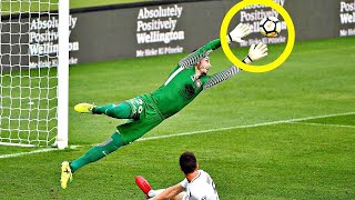 20 GREATEST HEROIC SAVES IN SPORTS