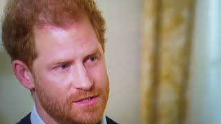 PRINCE HARRY gets offended when accused of being SCATHING about CAMILLA in his book