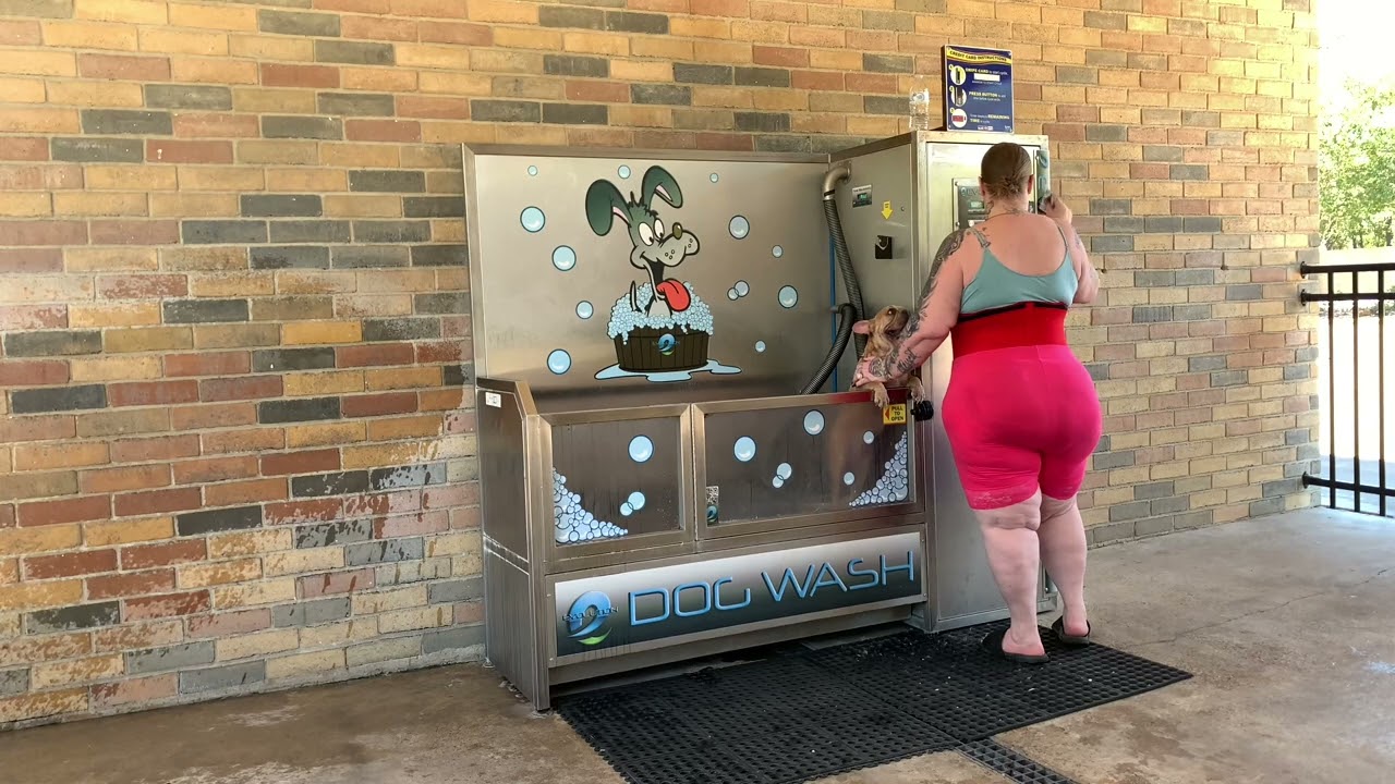 Dog 🐩 bite YouTube