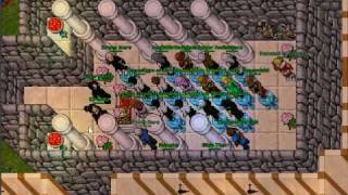 tibia boda