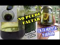 MATA casi al 100% de los BICHOS y PLAGAS de tus PLANTAS //como hacerlo paso a paso, ECOLOGICO,CASERO