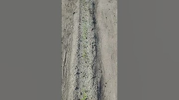 Laser weeding effect