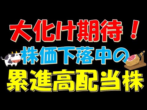 大化け期待！株価下落中の累進高配当株