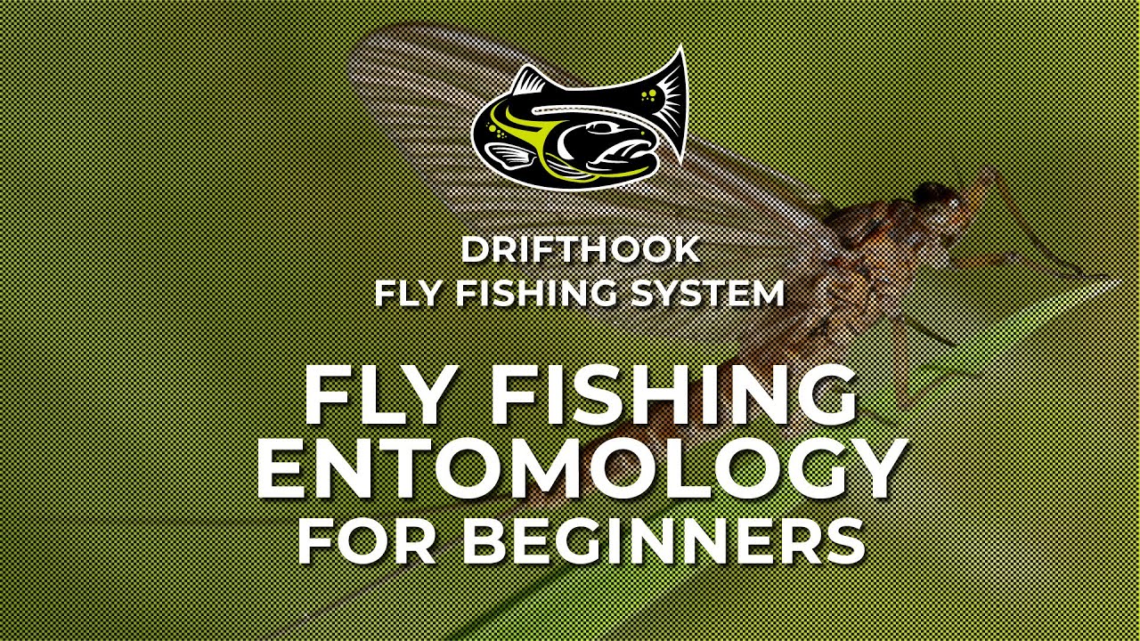 Fly Fishing Entomology for Beginners YouTube