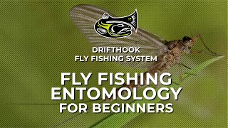 Celebrity Fly Fishing Entomology for Beginners Net Worth