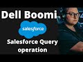 Boomi training lecture 3associate developer  salesforce query operation