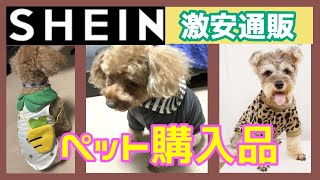 激安人気通販サイトSHEIN購入品ペット用品犬猫の可愛い服や小物がいっぱい