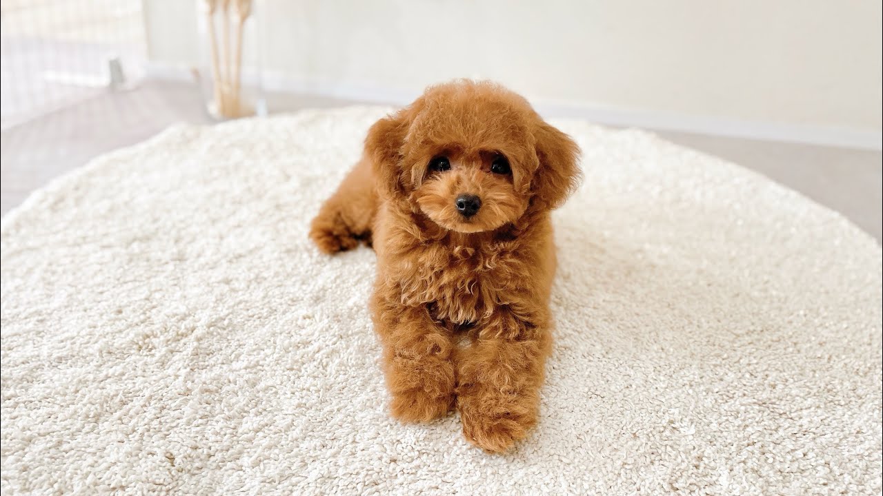 2026年2月21日撮影